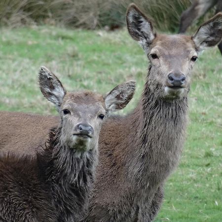 Exmoor Bnb In Withypool On Two Moors Way Экстерьер фото
