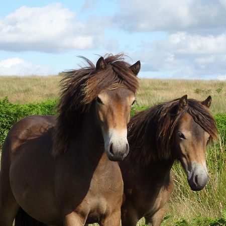 Exmoor Bnb In Withypool On Two Moors Way Экстерьер фото