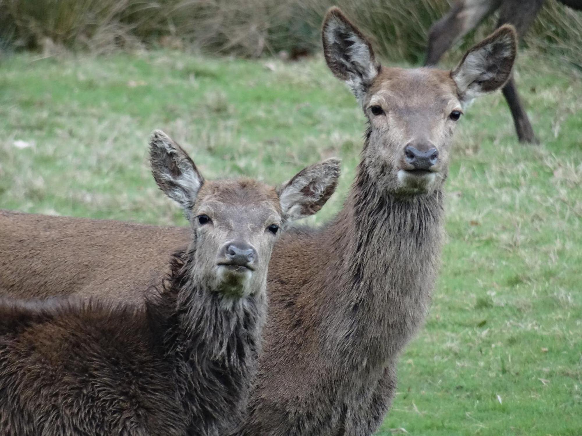 Exmoor Bnb In Withypool On Two Moors Way Экстерьер фото