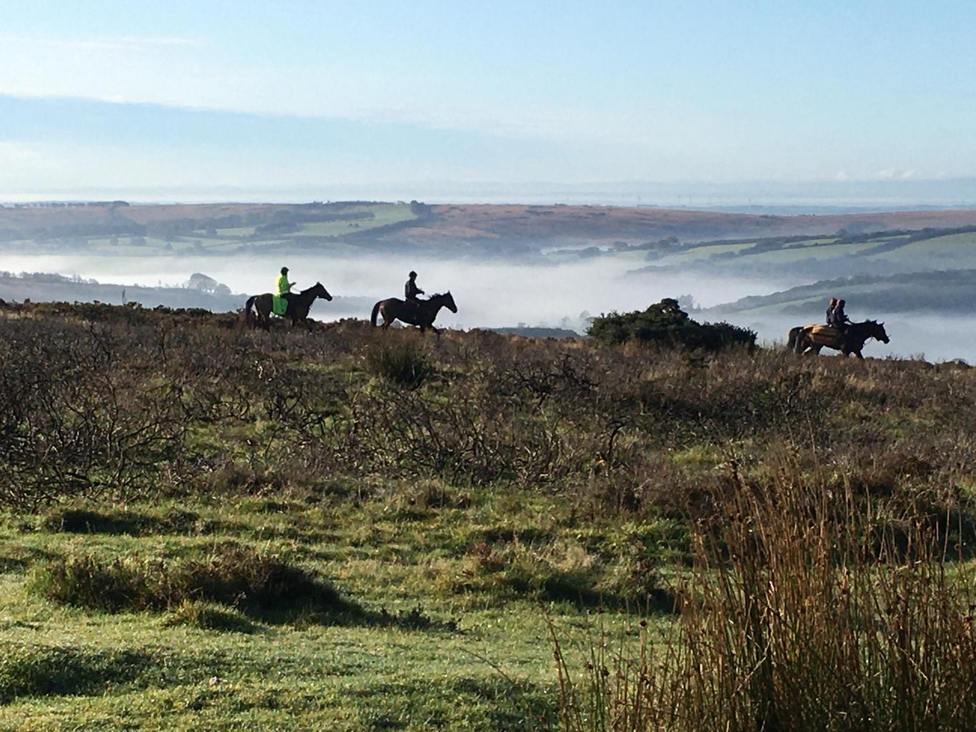 Exmoor Bnb In Withypool On Two Moors Way Экстерьер фото