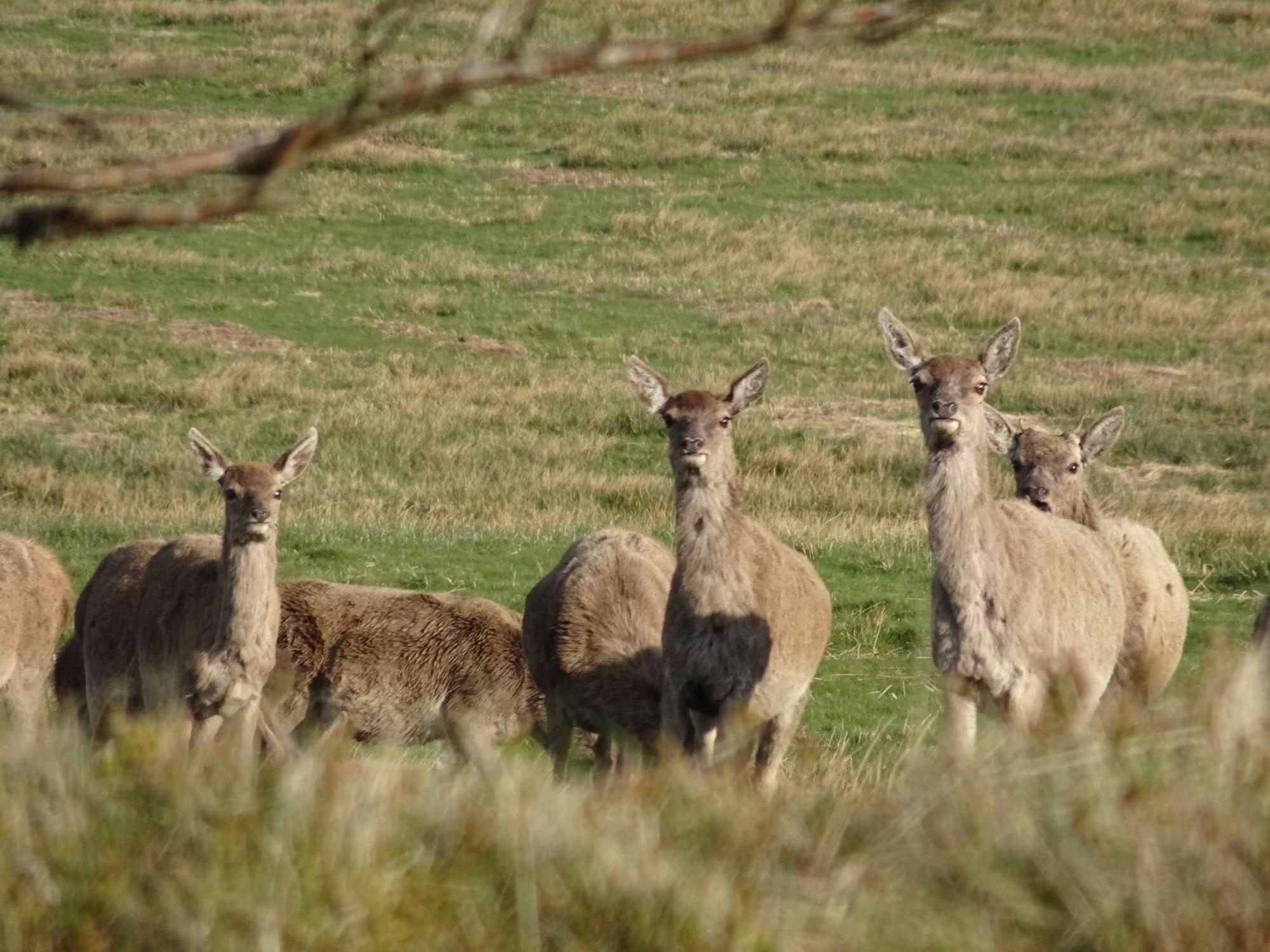 Exmoor Bnb In Withypool On Two Moors Way Экстерьер фото
