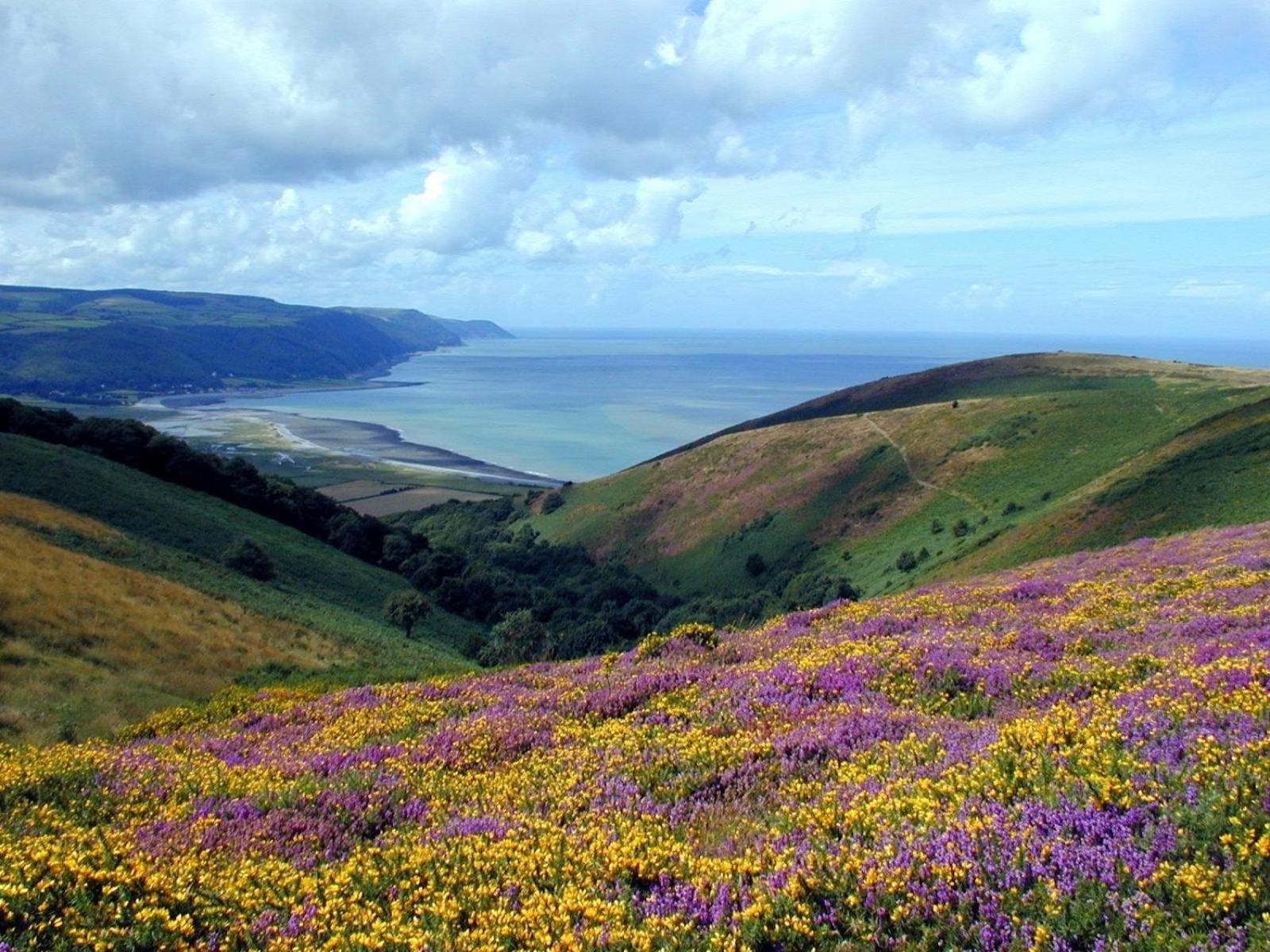 Exmoor Bnb In Withypool On Two Moors Way Экстерьер фото