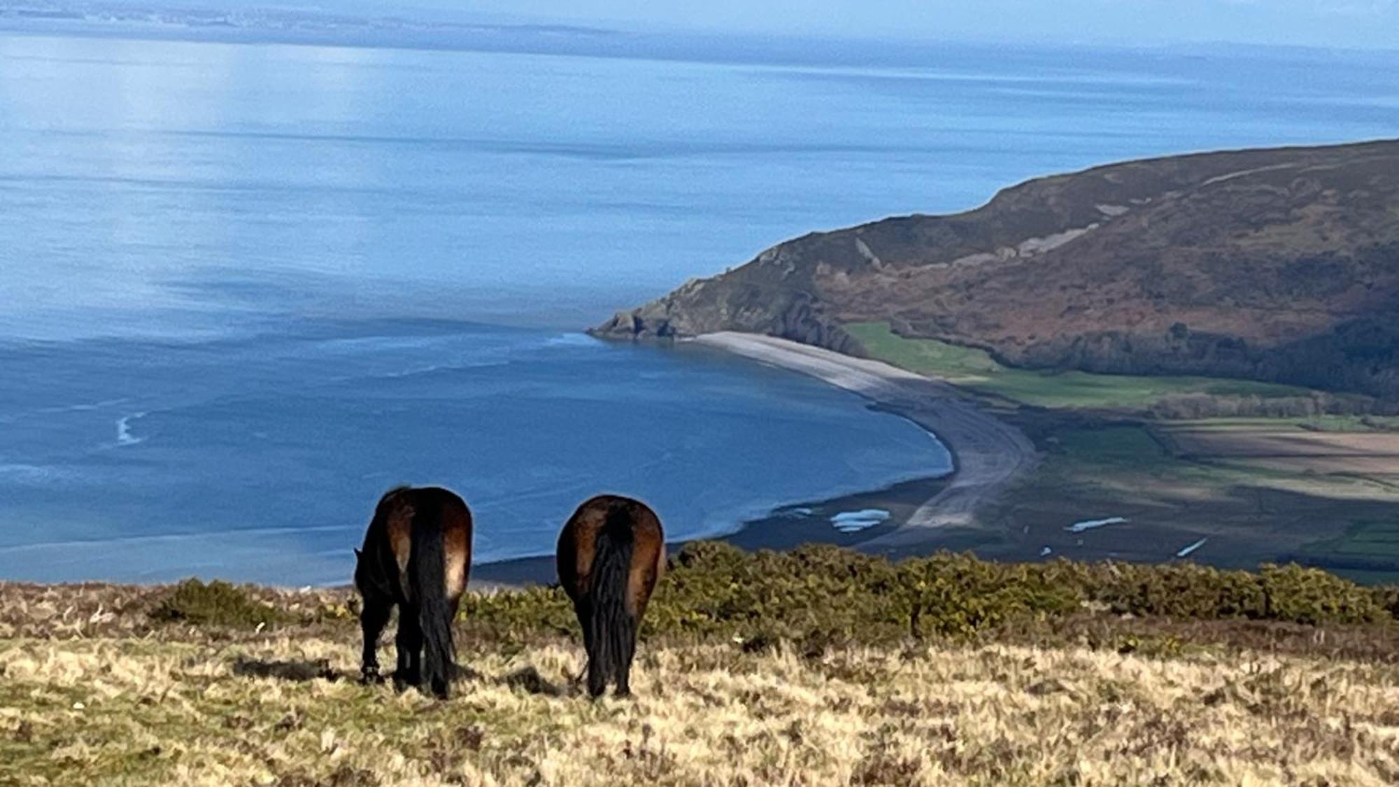 Exmoor Bnb In Withypool On Two Moors Way Экстерьер фото