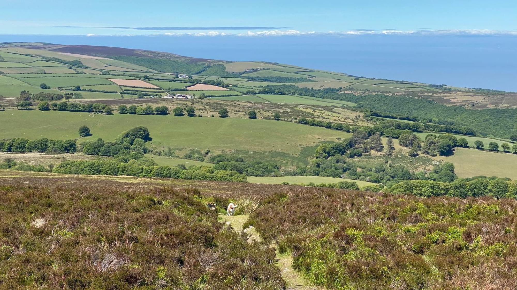 Exmoor Bnb In Withypool On Two Moors Way Экстерьер фото
